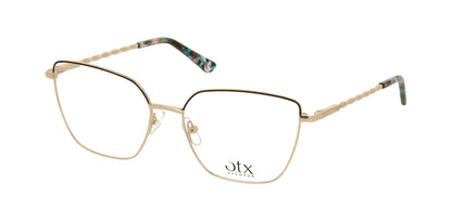OTX 10113