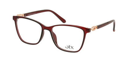 OTX 20244